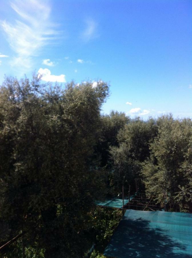 Casa Iolanda Villa Sorrento Eksteriør bilde